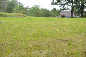 Lauku namiņš - Country cottage