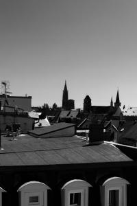 Hotels Hotel des Vosges BW Premier Collection : photos des chambres
