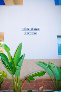 Apartamentos Catalina
