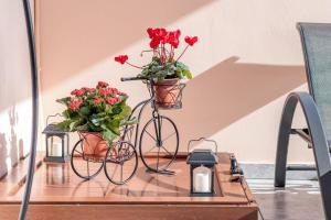 Meandros apartment garden view Skopelos Greece