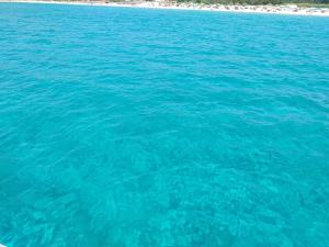 Brezza di mare appartamento in Villa con giardino e spiaggia ,casa vacanze al mare