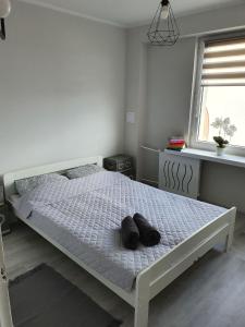 Apartament przy promenadzie