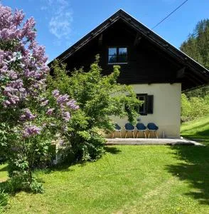 Mama Trixi‘s Ferienwohnungen - Amlach