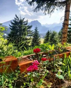 Petrovača - Pitomine