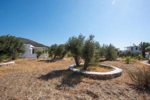 Elisso Villas Sifnos Greece