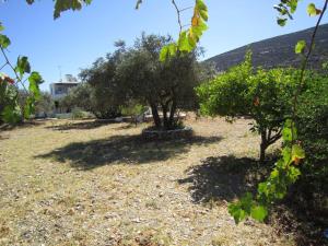 Elisso Villas Sifnos Greece