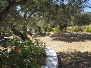 Elisso Villas Sifnos Greece