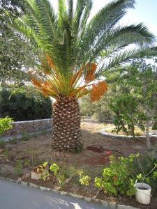 Elisso Villas Sifnos Greece