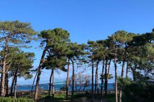 Appartement neuf sur Plage de Calvi Vue Mer