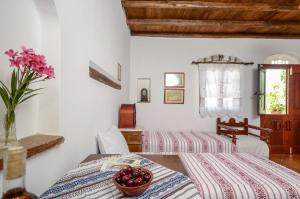 Naxos Filoxenia Agrotourism Hotel Naxos Greece