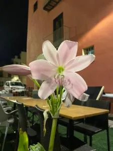 Restaurant & Rooms Cabrit - Chert