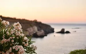 Demetra House by Elefthia Syros - Kómito