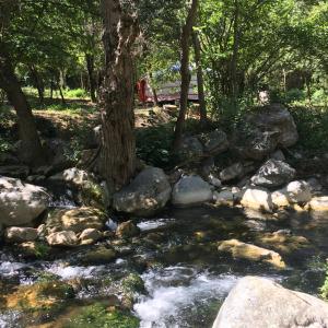 Tentes de luxe Moulin de la Buade : photos des chambres