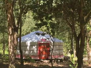 Moulin de la Buade - 屈伊朗