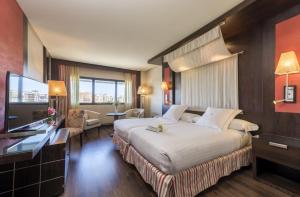 Double Room room in Hotel Cordoba Center