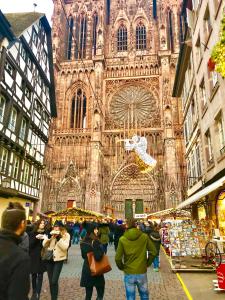 Cosy & quiet flat in historical lively center of Strasbourg