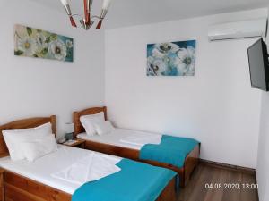 Twin Room - Ground Floor room in Pensiunea Ioana