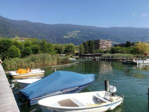 Seeappartment Regina Bodensdorf am Ossiacher See am Fuße der Gerlitzen