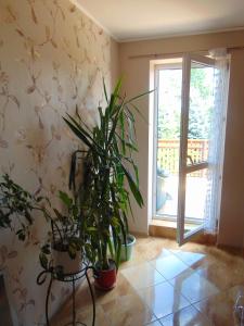 Gospodarstwo Agroturystyczne Lucynka