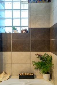 Yoga Euphoria seaside apartment