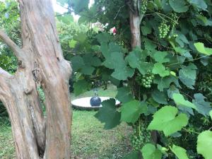 Alla Rotonda dai Santi