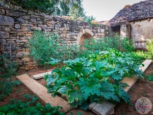 Maisons de vacances gite des rois ducs : photos des chambres