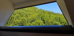 Košuta 21 Center Duplex Apartment, Brzeće