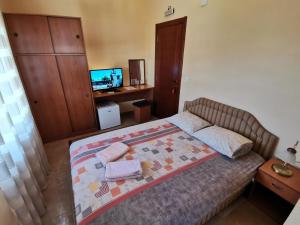 Standard  Double Room room in Apartments Abramovic