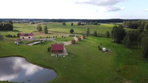 Žubītes