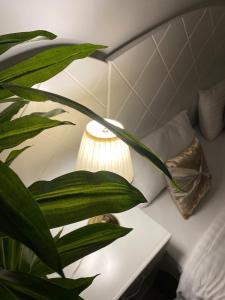 جواهر الشرق للشقق المخدومة