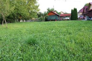 Pensiunea Anca Sapanta-primeste carduri de vacanta