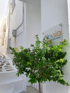 Lasia Boutique Apartment Andros Greece