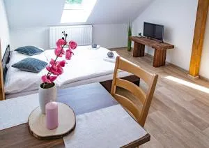 Apartmány Kurojedy - Mlýnec