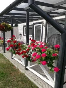 Vārpas - Žocenes Ciems