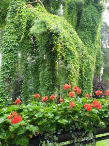 BITTE Three Bedroom Design Cottage