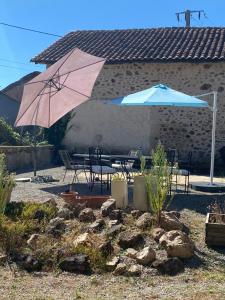 Bachellerie photo 21