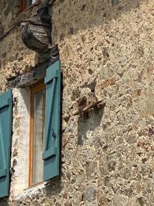 Bachellerie photo 12