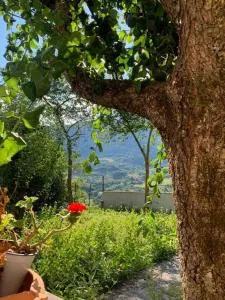 B&B Al San Francesco - Rocca Cinquemiglia