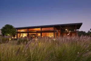 Woods at Sasan - Junagadh