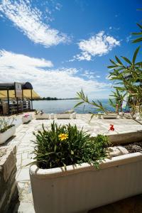 Sea view apartment Umag 1