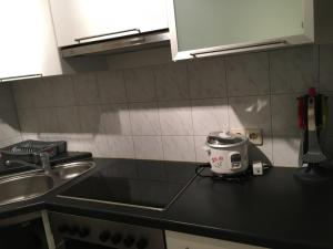 Sindel Living Luxurious 1 Bed room Business Apt near Daimler