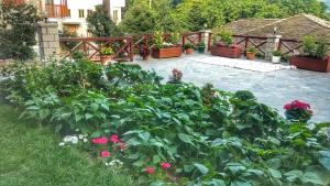 Eufrosini Guesthouse