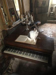B&B / Chambres d'hotes Chateau Gros Puy, Petit Chateau chambre d'hote : photos des chambres