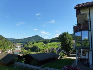 5 hvězdičkový apartmán Ferienwohnung Schwarzwaldsteig Bad Peterstal-Griesbach Německo