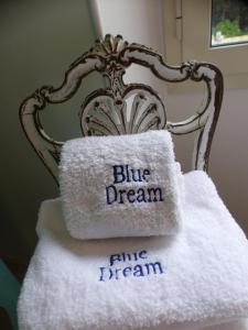 Blue Dream Cannes Guest House