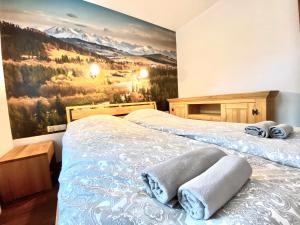 Apartamenty Kościelisko Zakopane PANORAMA TATR
