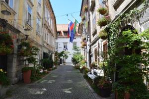 Codelli Deluxe City Centre Apartments - 3-Sterne-Hotels in Ljubljana