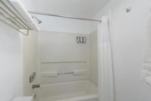 Enclave Apartments at International Drive