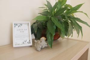 Green Element Guesthouse