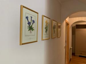 Cavalese luxury mountain and sky